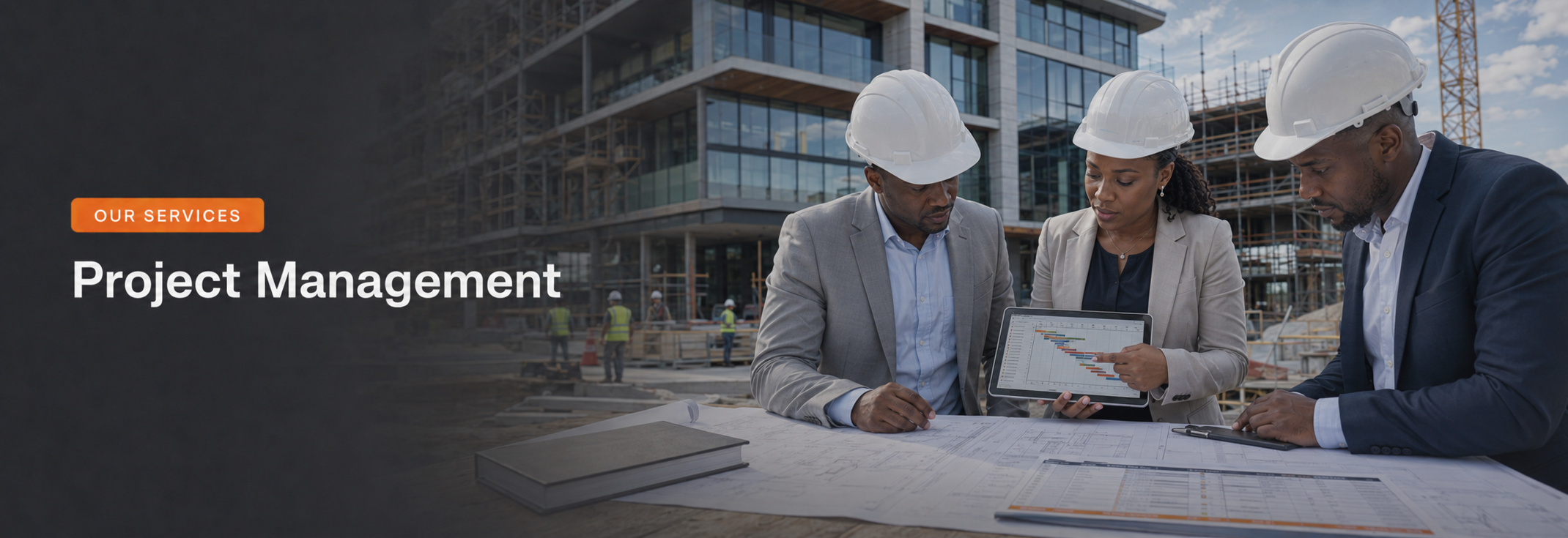 Project Management services africost